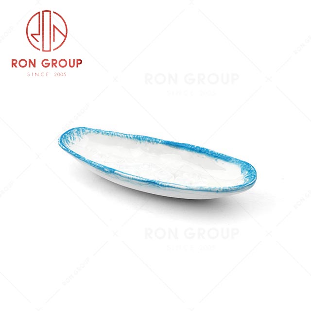 RN0660P00489 Wholesale Unique Design Ceramic Long Plate